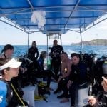 Herradura Divers Herradura Divers