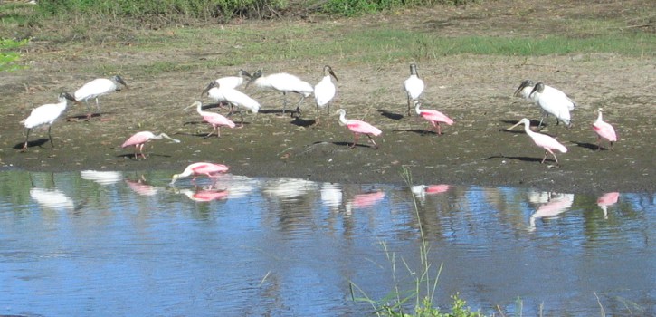 Palo-Verde-Park-Costa-Rica